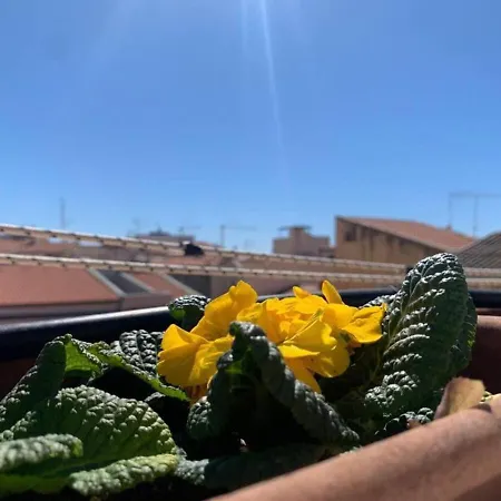 Nura's - Il Balcone Sui Tetti *